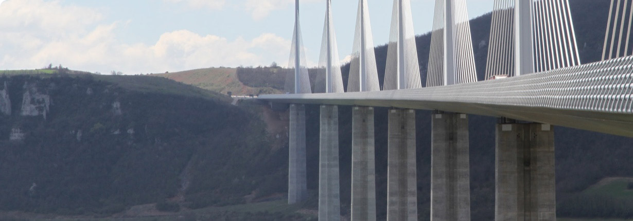 Avatar's Punjabi Burritos